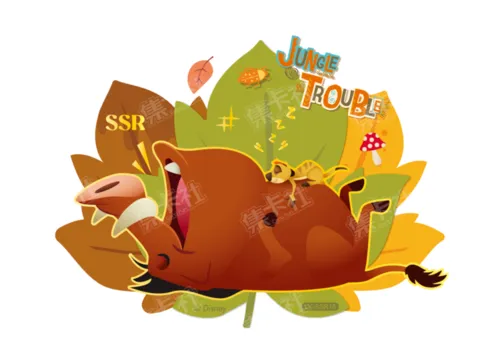 SSR16 card front
