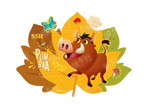 SSR17 card front