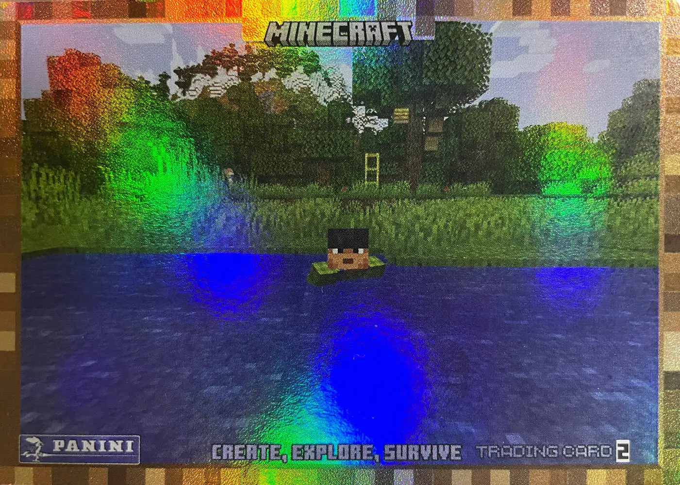 Sunny jumps into the water to stop the bees from chasing him card front