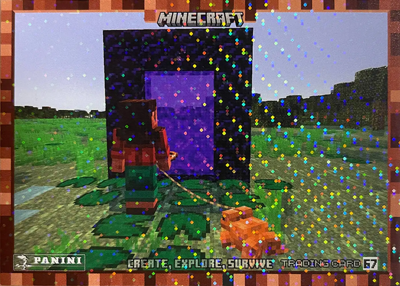 Noor takes the frog through a Nether portal card front