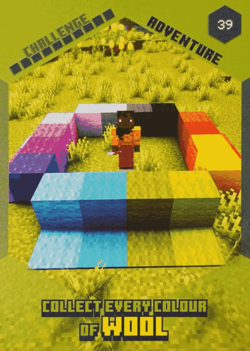 Collect Every Colour of Wool card front