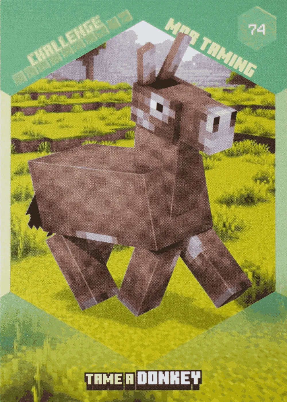 Tame a Donkey card front