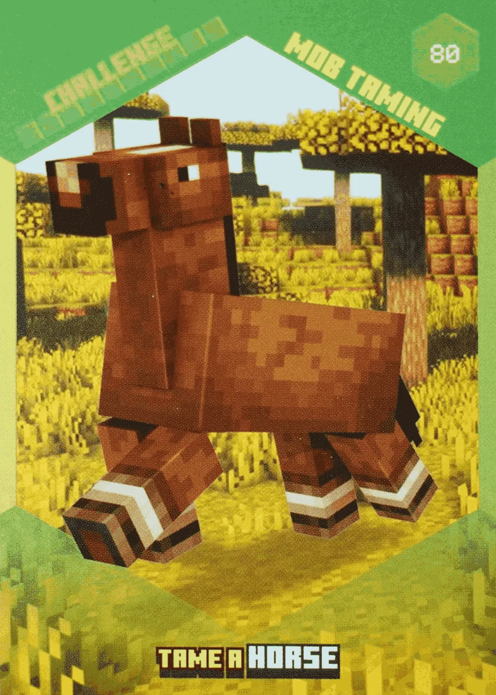 Tame a Horse card front
