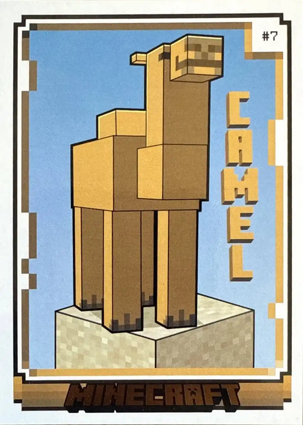 Camel card front