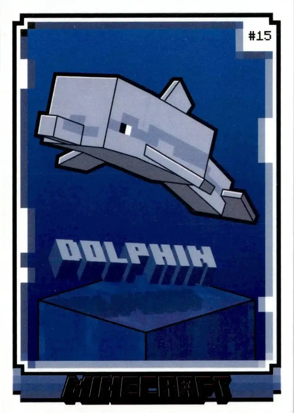 Dolphin card front