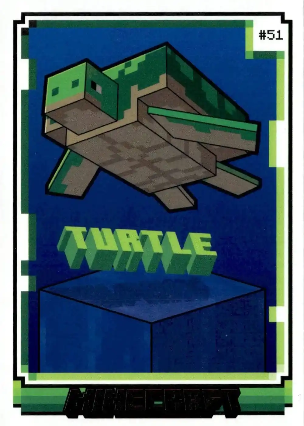 Turtle card front