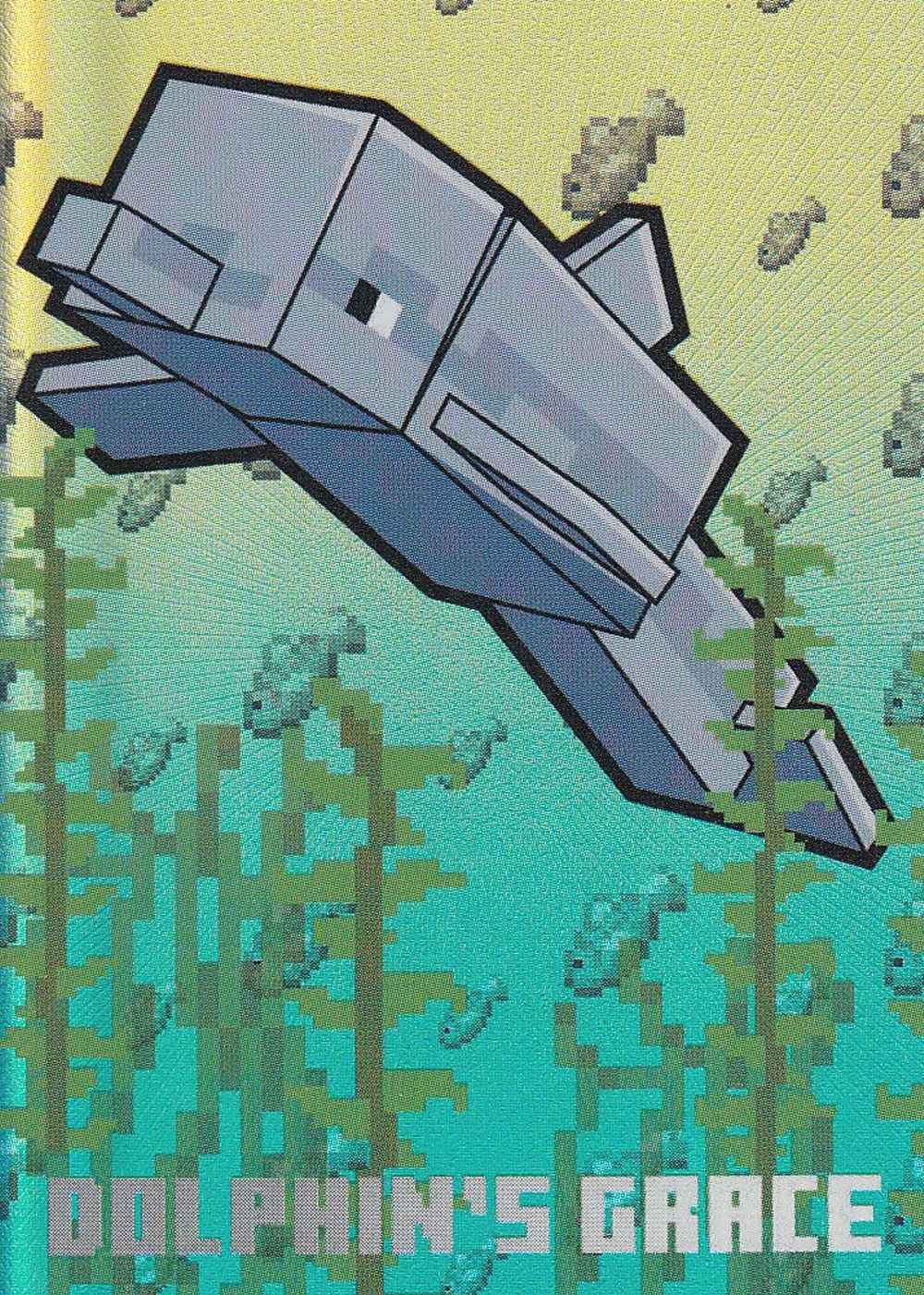 Dolphin's grace card front