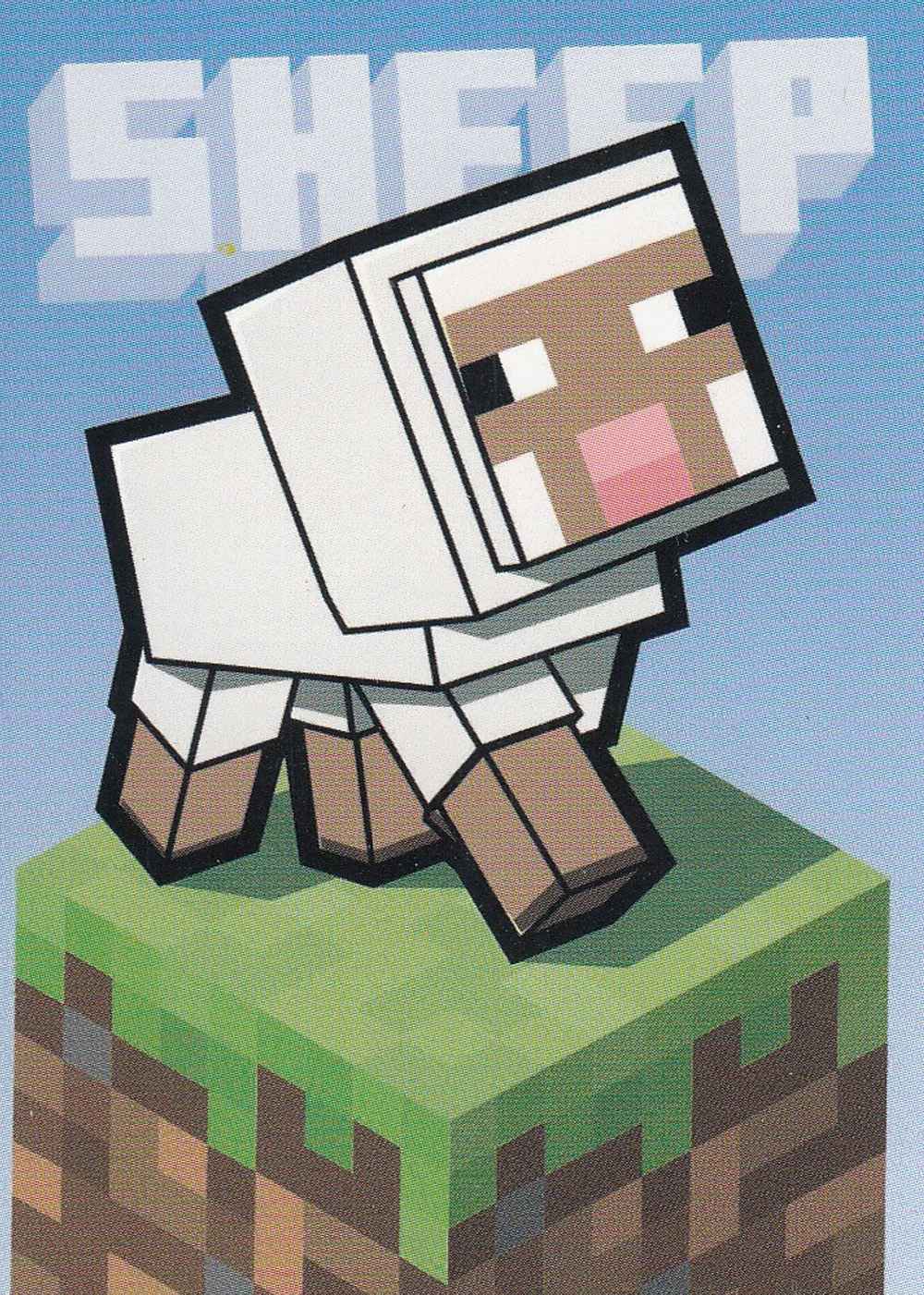 Sheep card front