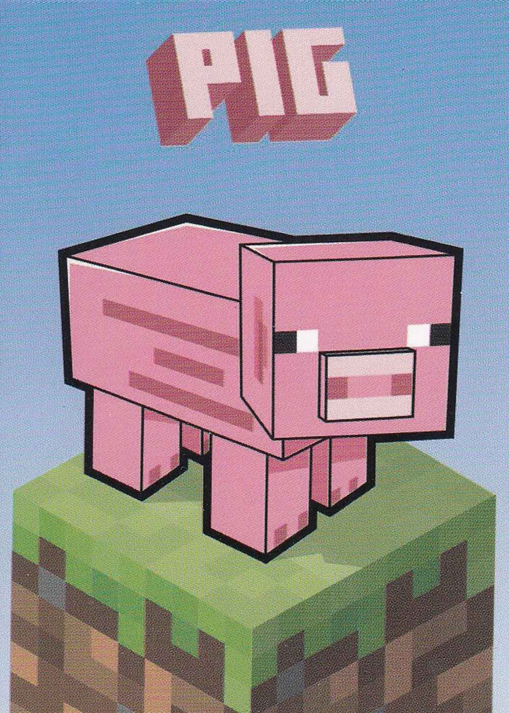 Pig card front