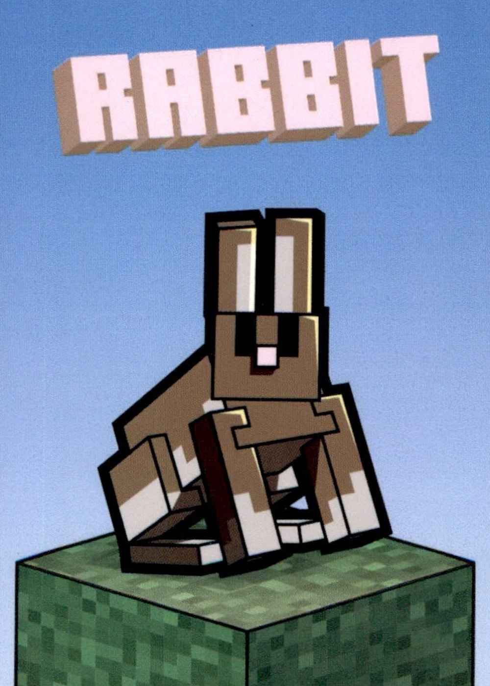 Rabbit card front