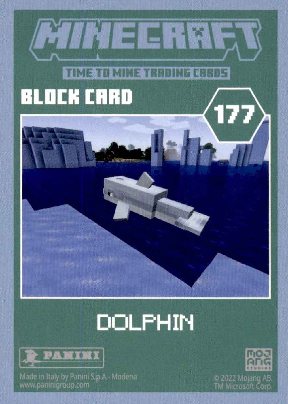 Dolphin (Base) card back