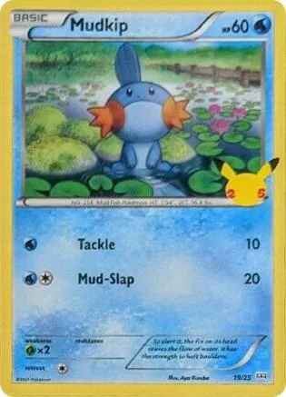 Mudkip card front
