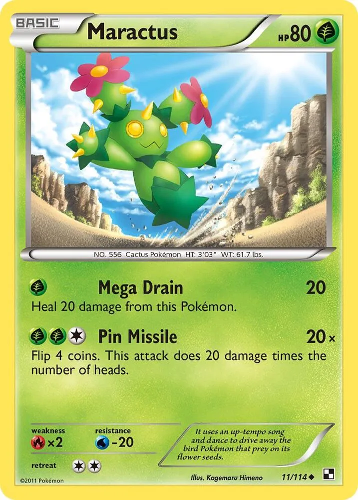 Maractus card front