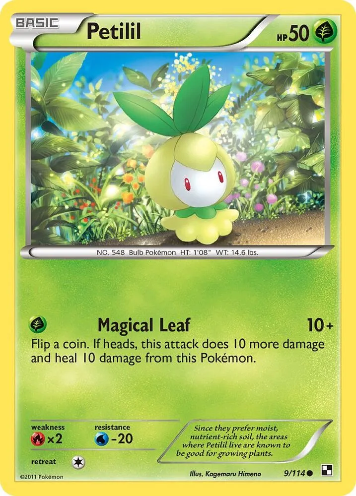 Petilil card front