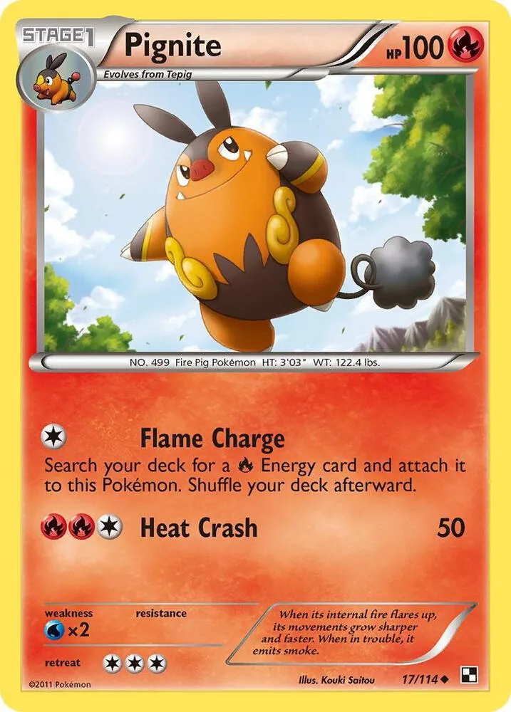 Pignite card front