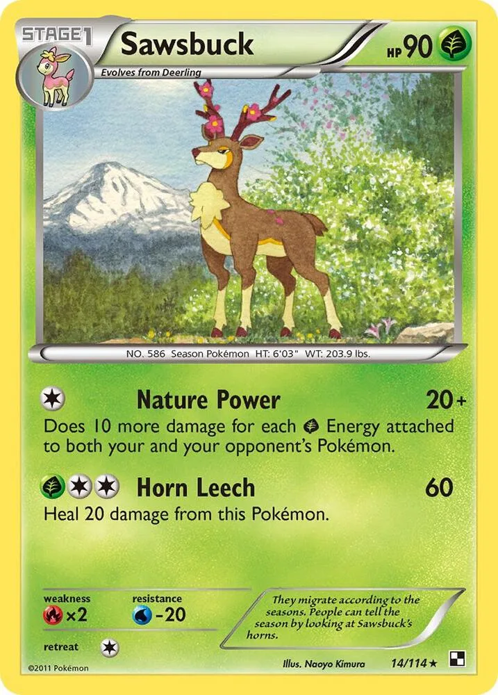 Sawsbuck card front