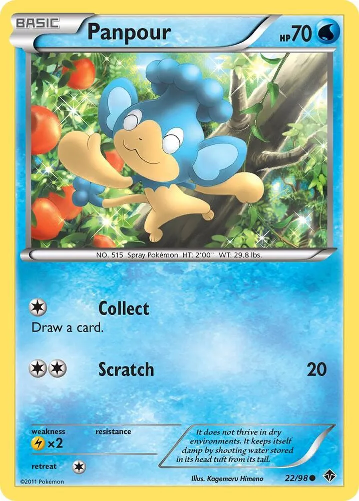 Panpour card front