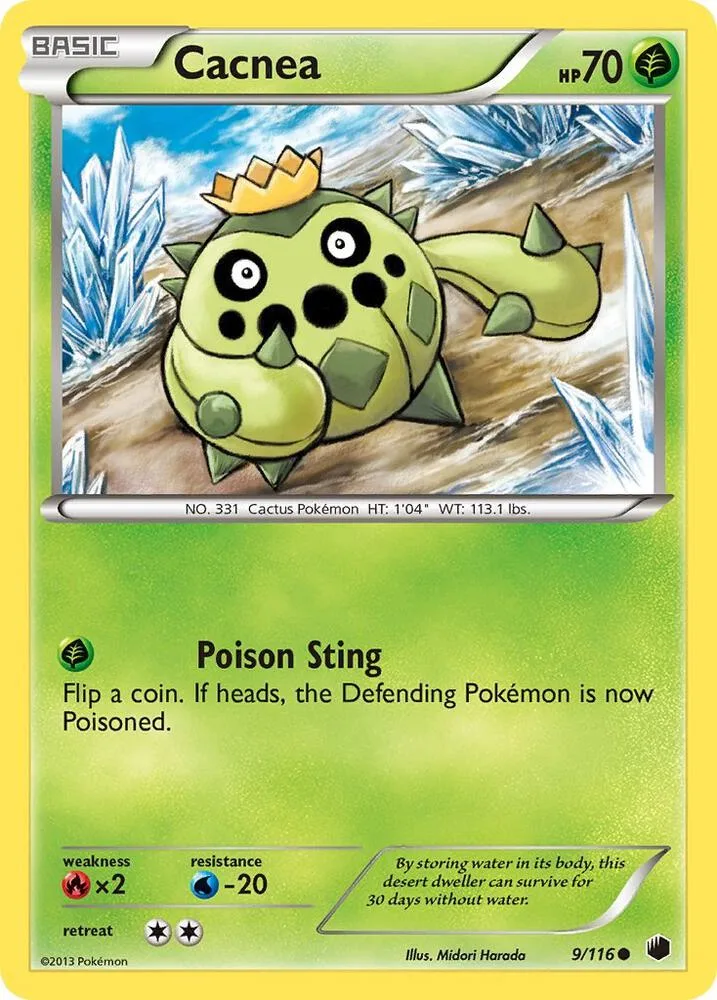 Cacnea card front
