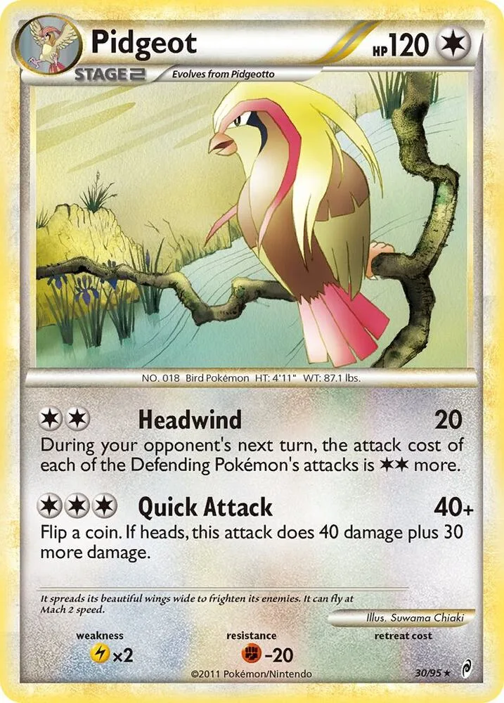 Pidgeot card front