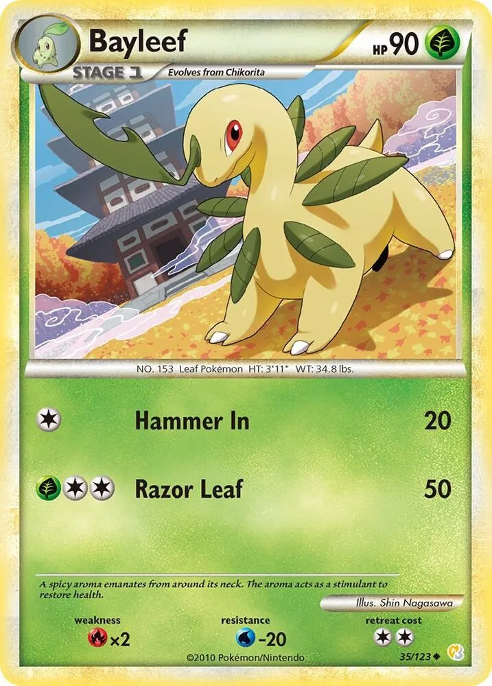 Bayleef card front