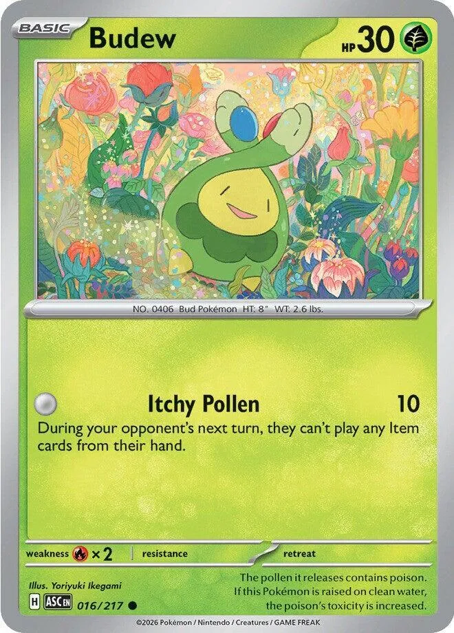 Budew card front