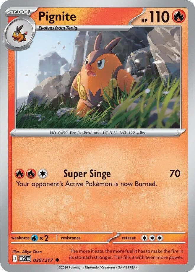 Pignite card front