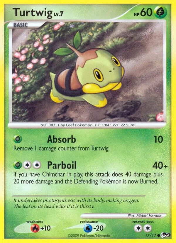 Turtwig card front