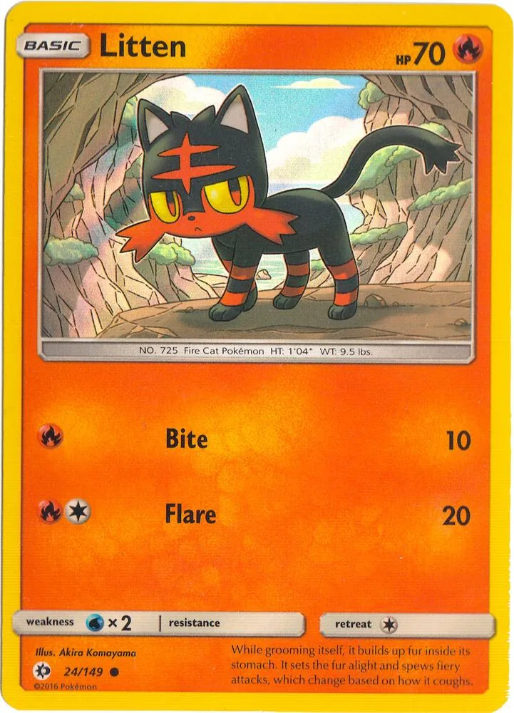 Litten (Water Web Holo) thumbnail
