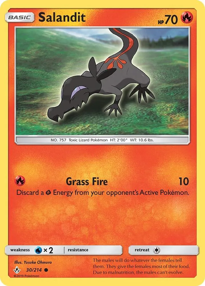 Salandit card front
