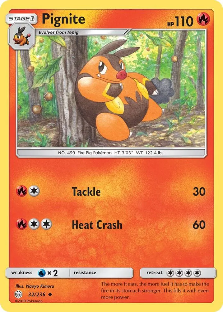 Pignite card front