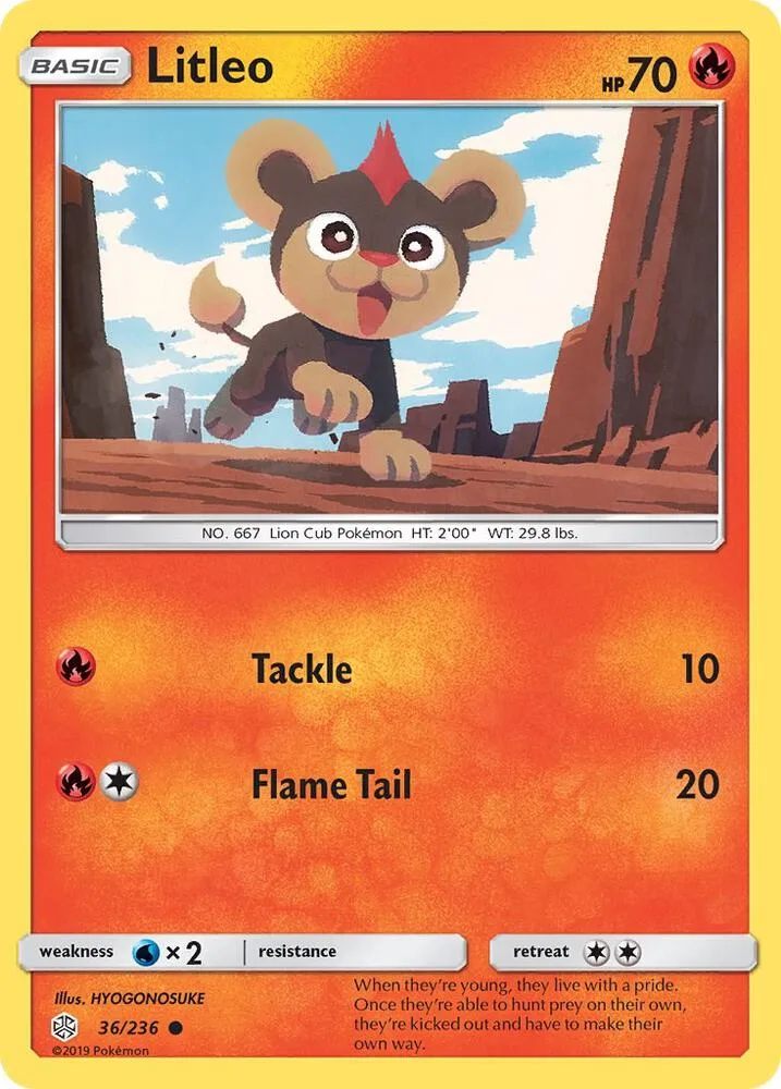 Litleo card front