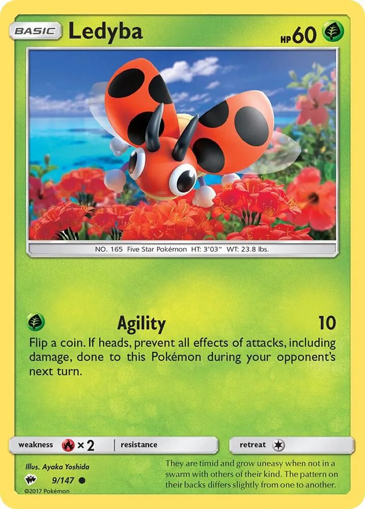 Ledyba card front