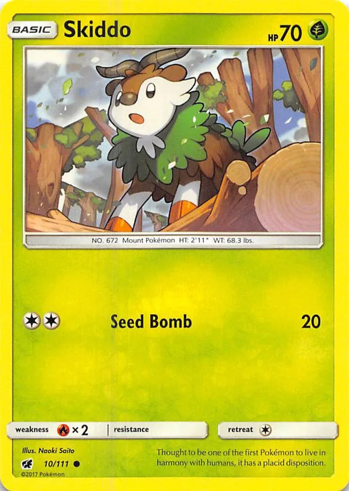 Skiddo card front