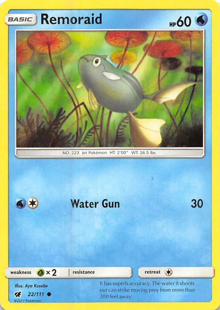 Remoraid card front