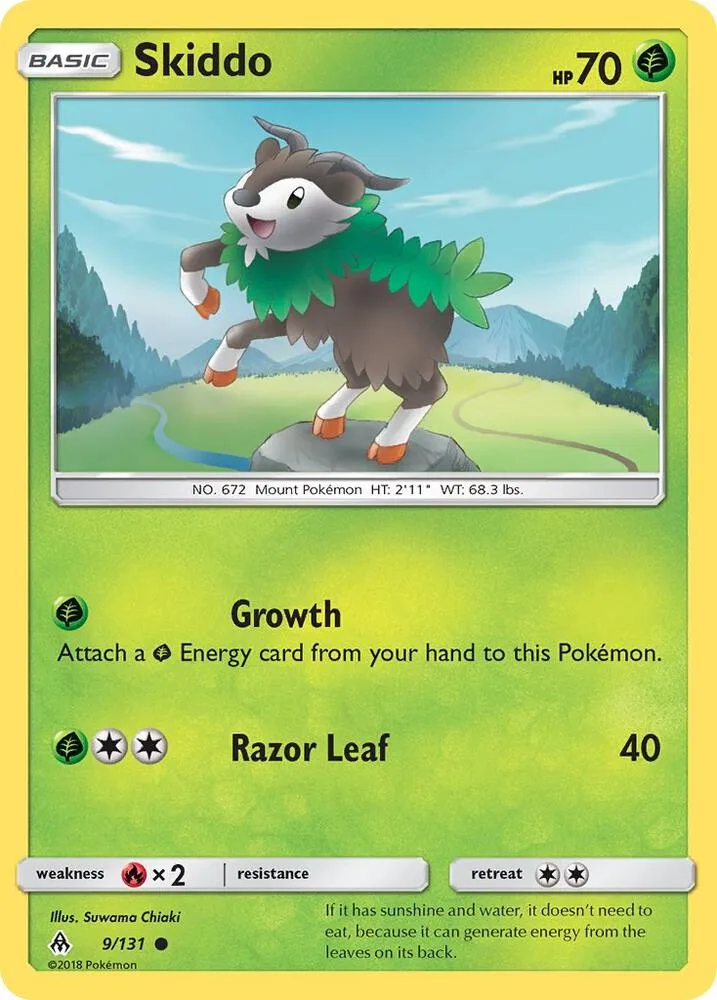 Skiddo card front