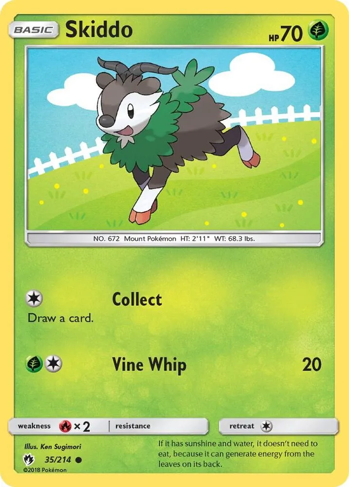 Skiddo card front