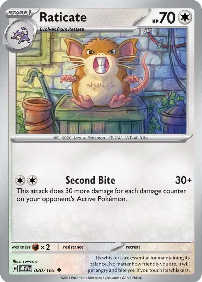 Raticate card front