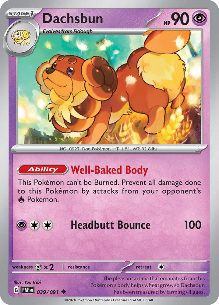 Dachsbun card front
