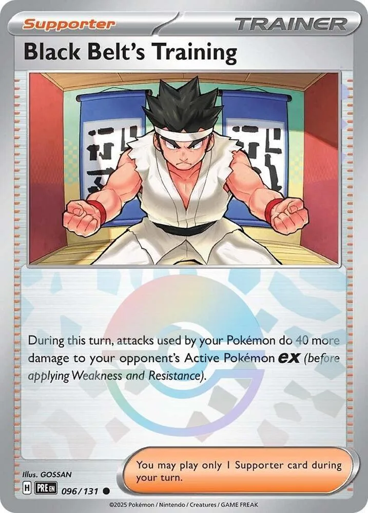 Black Belt's Training (Poké Ball Pattern) thumbnail
