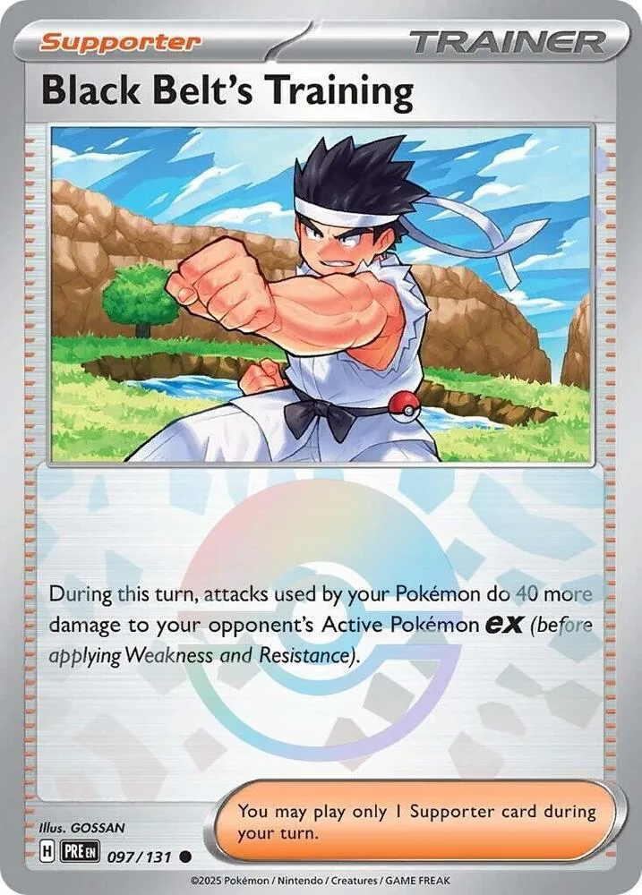 Black Belt's Training (Poké Ball Pattern) thumbnail