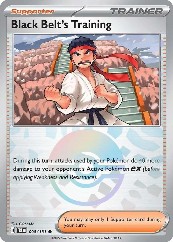 Black Belt's Training (Poké Ball Pattern) thumbnail
