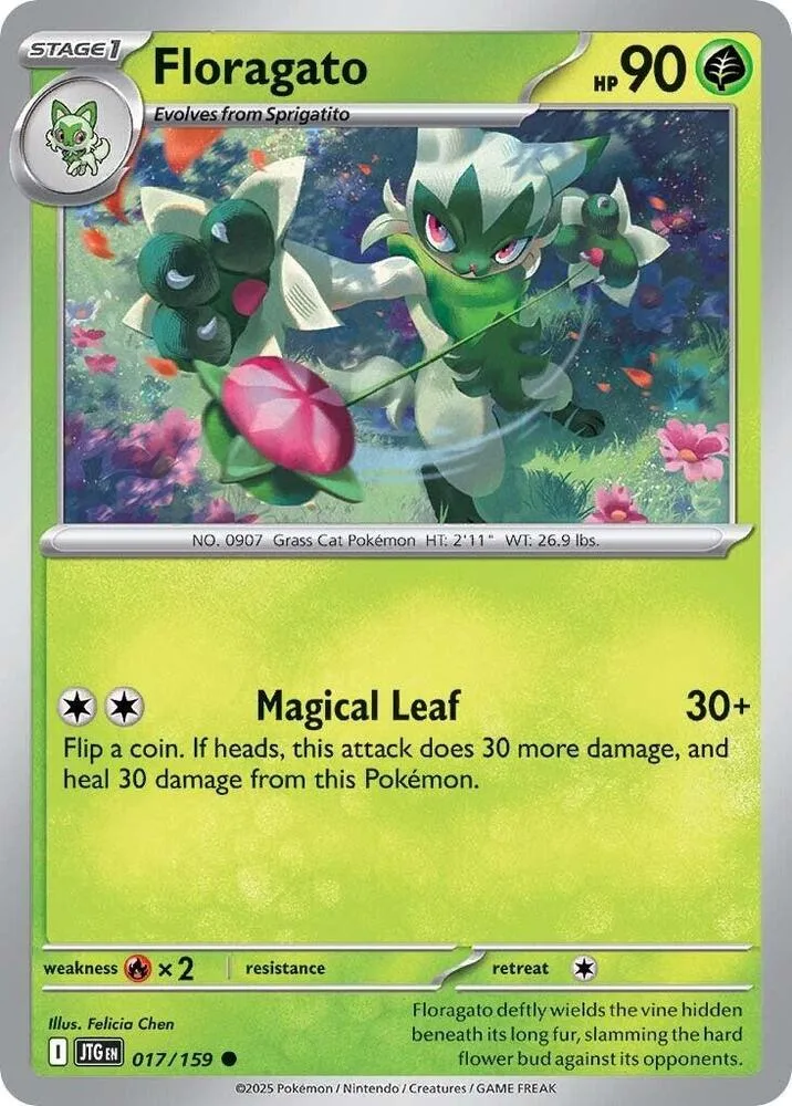 Floragato card front
