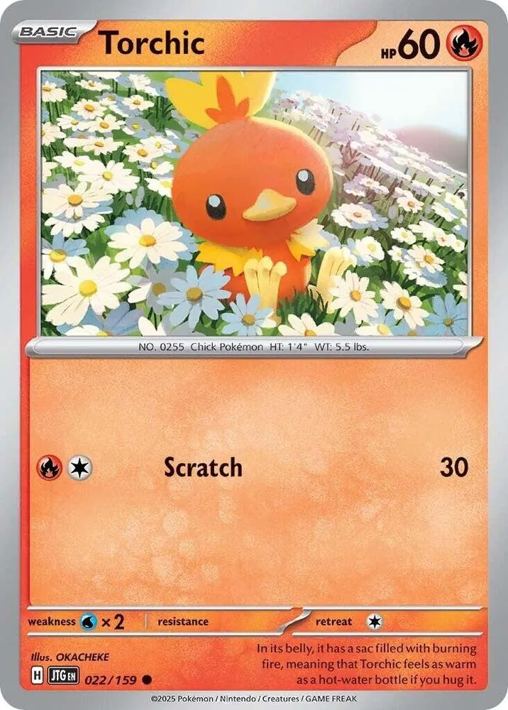 Torchic card front