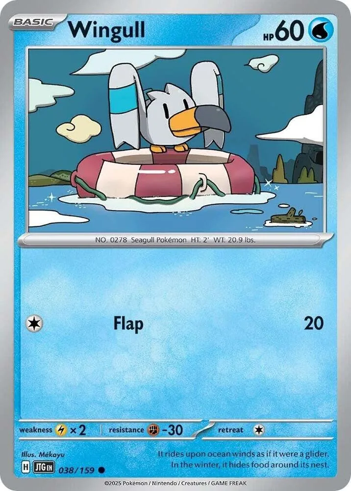 Wingull card front