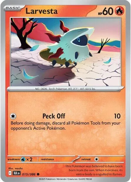 Larvesta card front