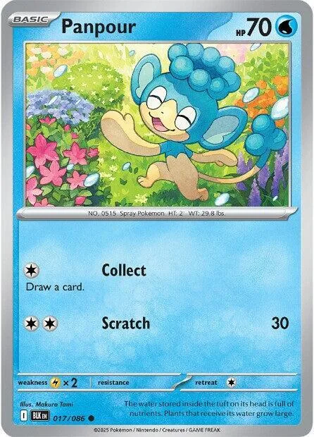 Panpour card front