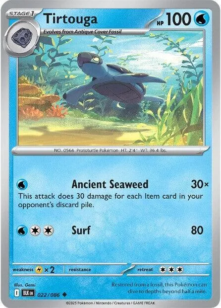 Tirtouga card front