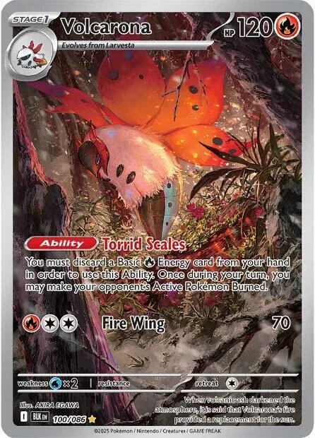 Volcarona Holofoil card