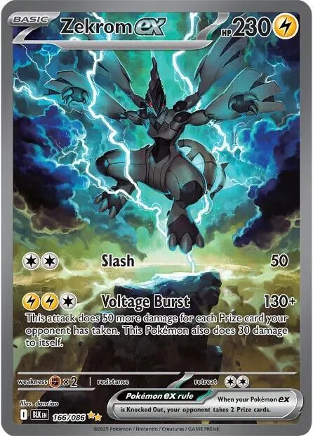 Zekrom ex Holofoil card