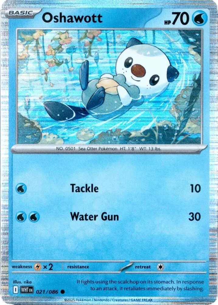 Oshawott (Collection Promo) thumbnail